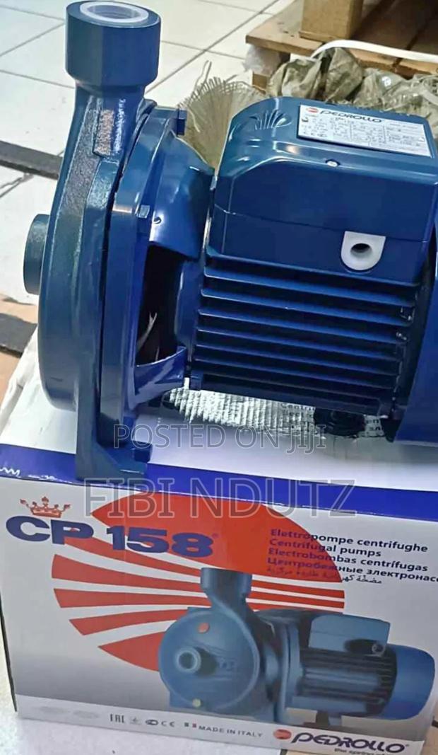 New Pedrollo Water Pump/Pedrollo Booster Pump 1hp