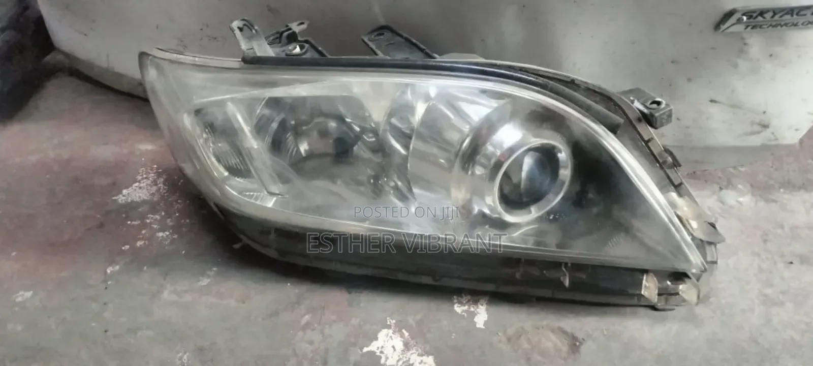 Toyota Vanguard Xenon Headlight