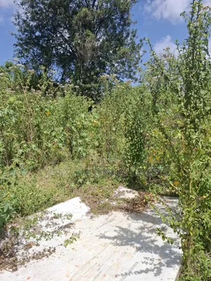 Prime 1/2 Acre Land for Sale in Karen