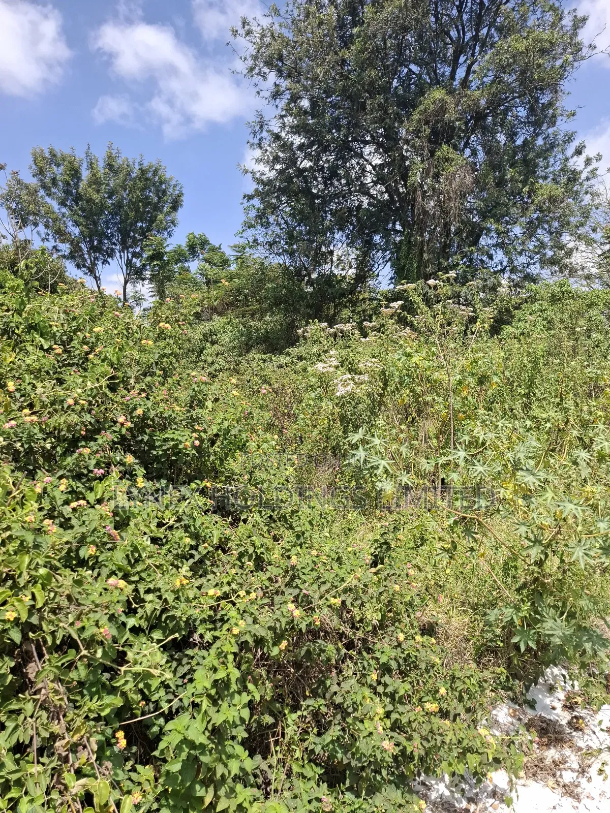 Prime 1/2 Acre Land for Sale in Karen