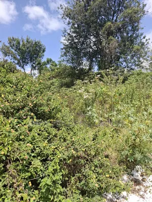 Prime 1/2 Acre Land for Sale in Karen