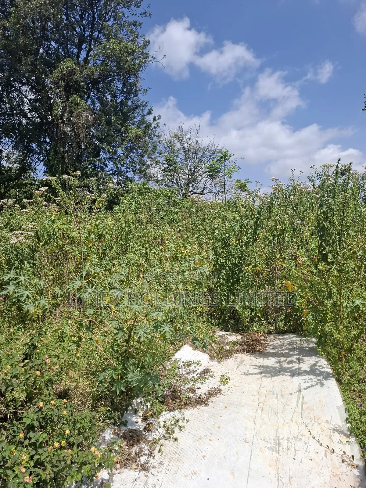 Prime 1/2 Acre Land for Sale in Karen