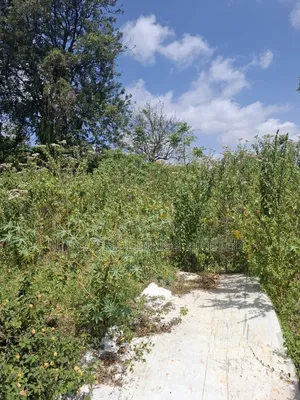 Prime 1/2 Acre Land for Sale in Karen