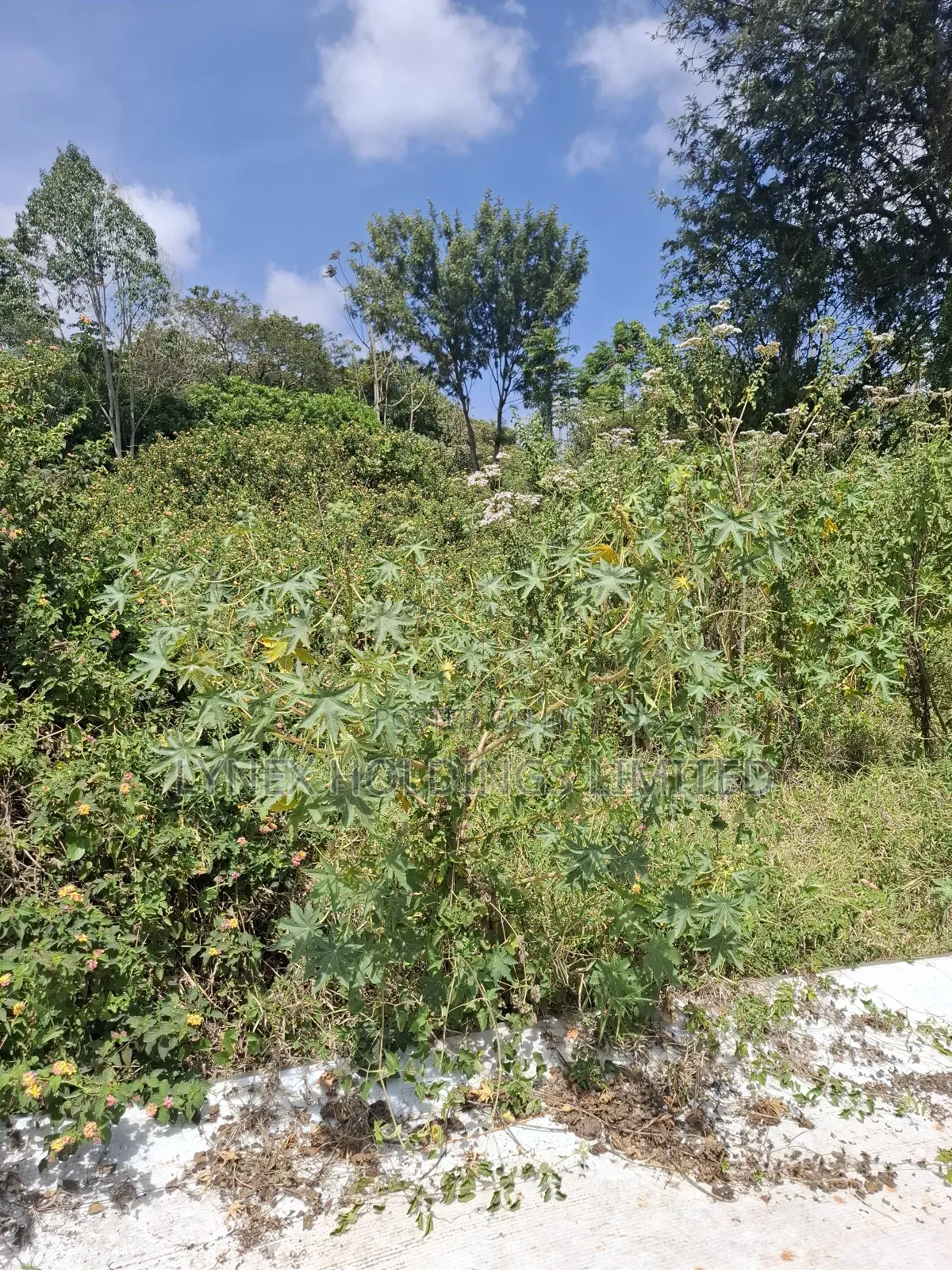 Prime 1/2 Acre Land for Sale in Karen