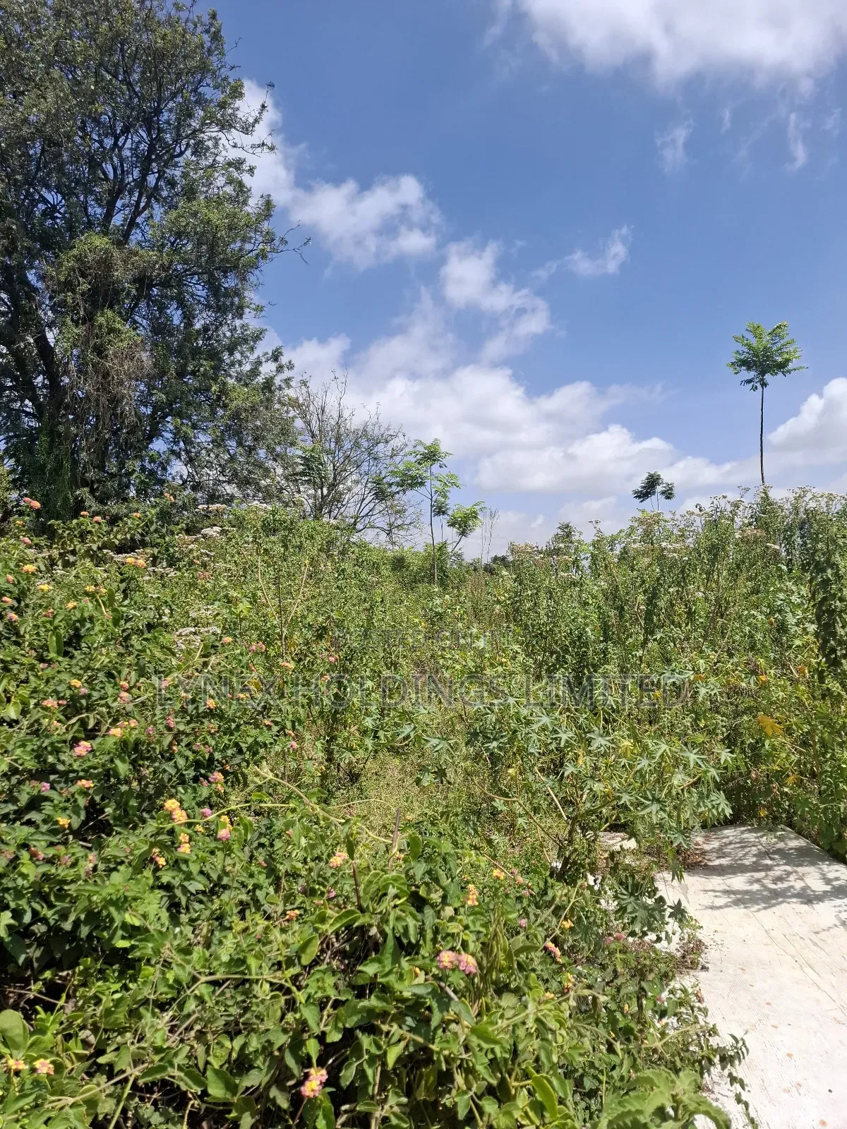 Prime 1/2 Acre Land for Sale in Karen