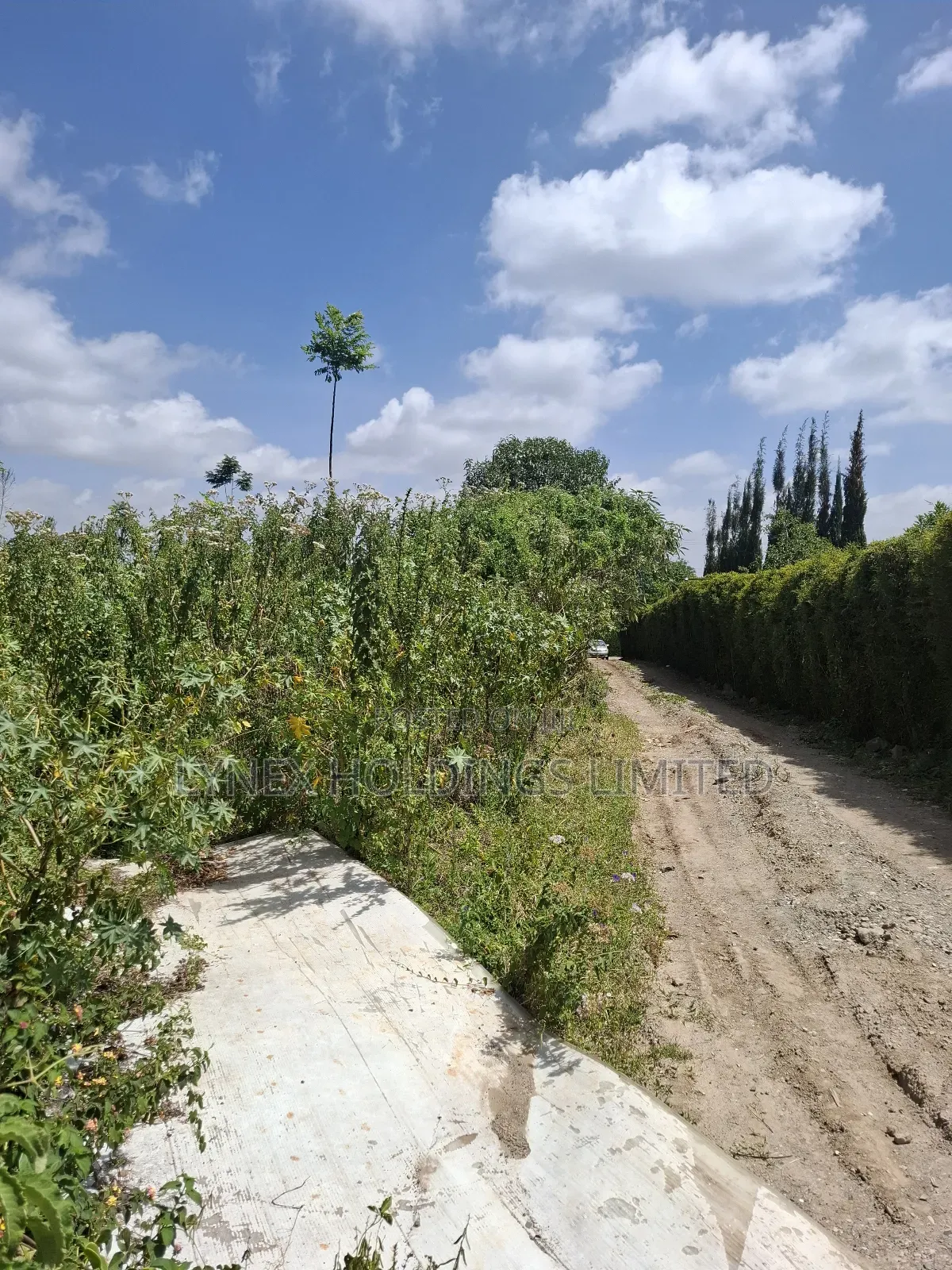 Prime 1/2 Acre Land for Sale in Karen