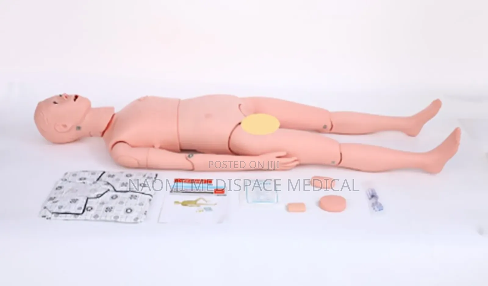 Male Nursing Manikin/ Male Training Model