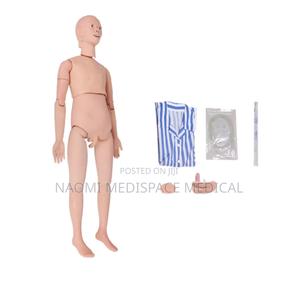 Unisex Training Manikin With Male and Female Organs
