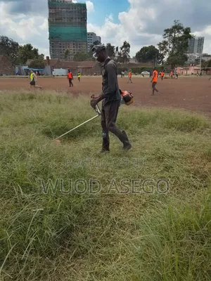 Grass Cutting and Flower Treaming