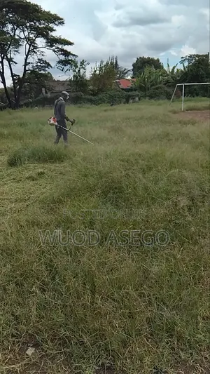 Grass Cutting and Flower Treaming