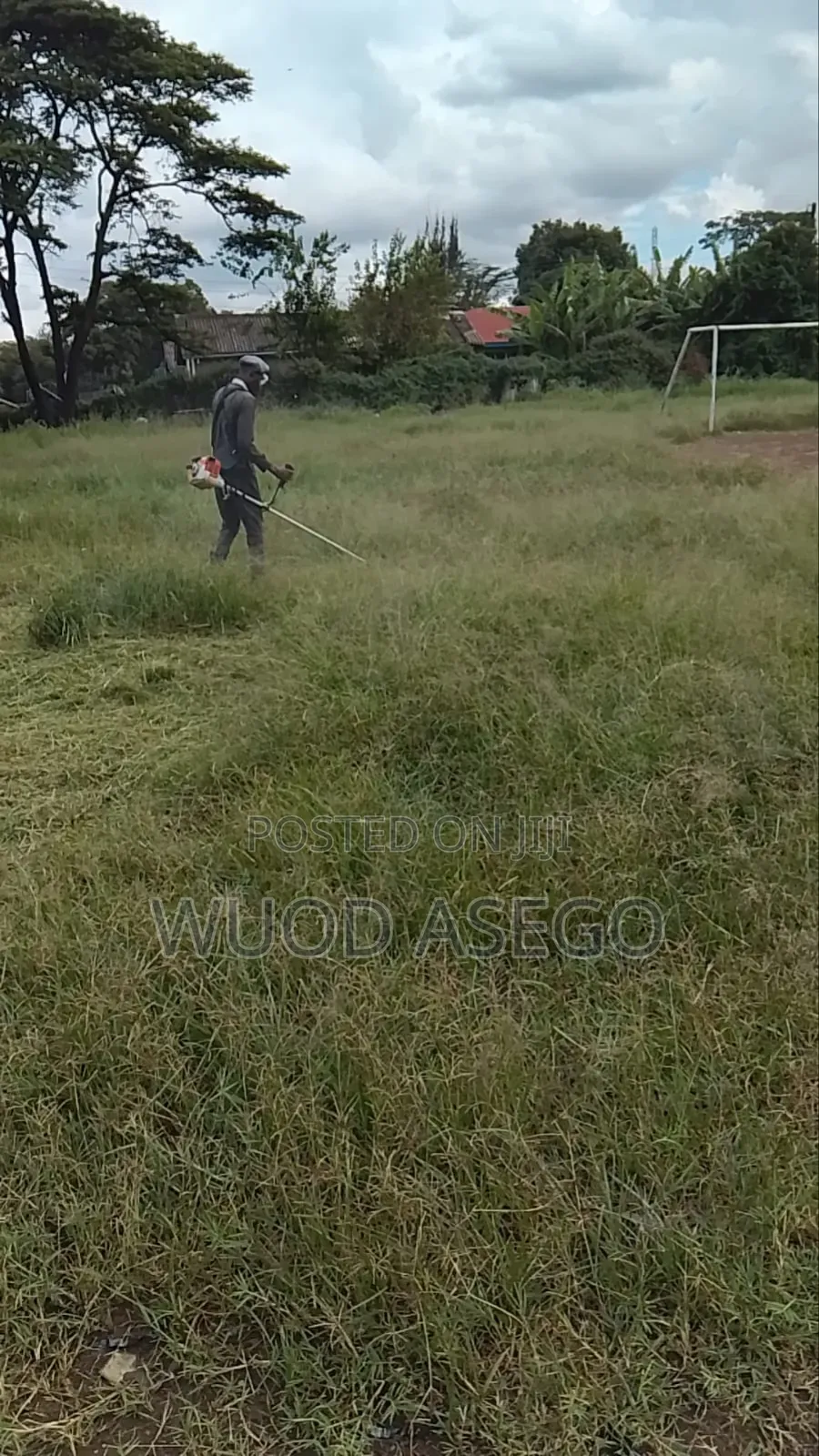 Grass Cutting and Flower Treaming