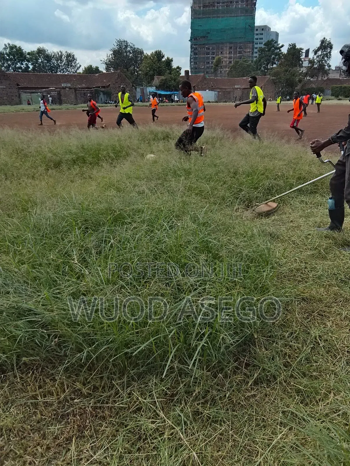 Grass Cutting and Flower Treaming