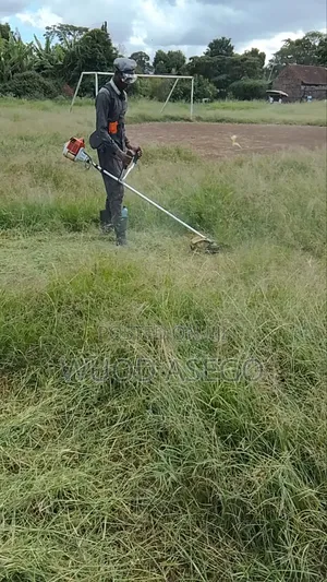 Grass Cutting and Flower Treaming