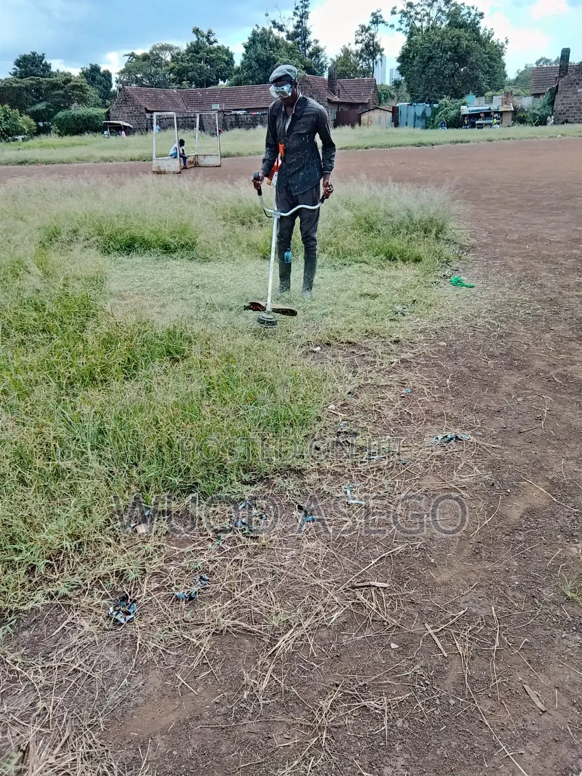 Grass Cutting and Flower Treaming