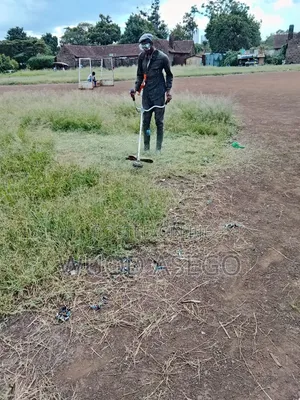 Grass Cutting and Flower Treaming