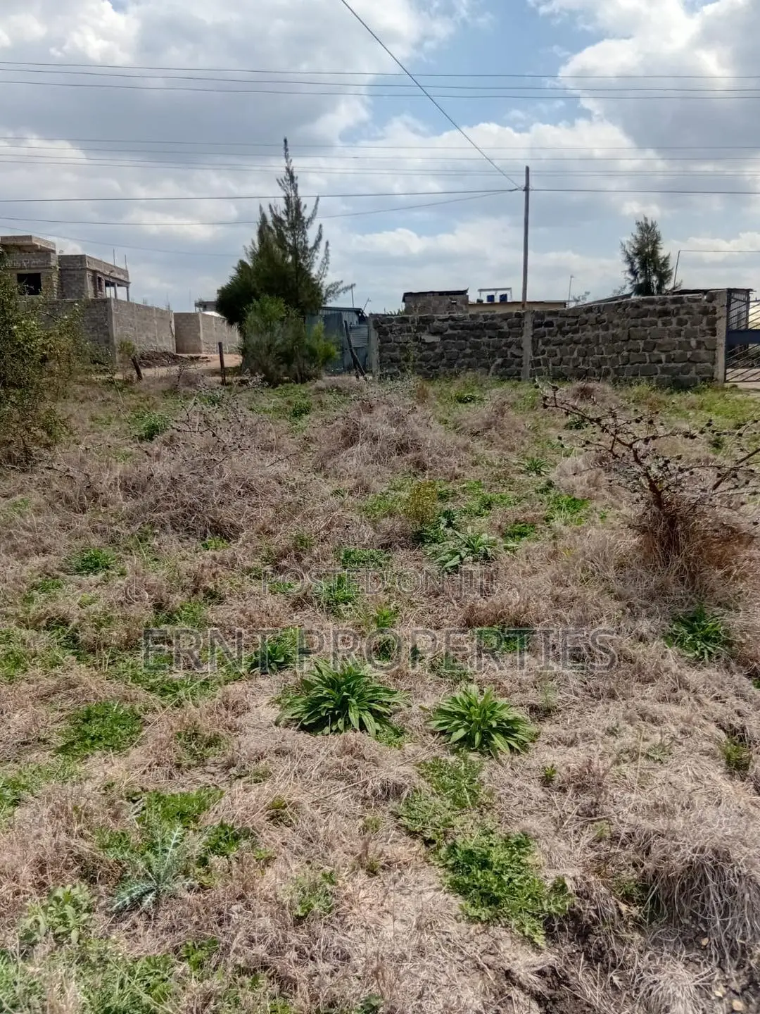 Prime 50x100 Plot in Kitengela Sholinke Valley