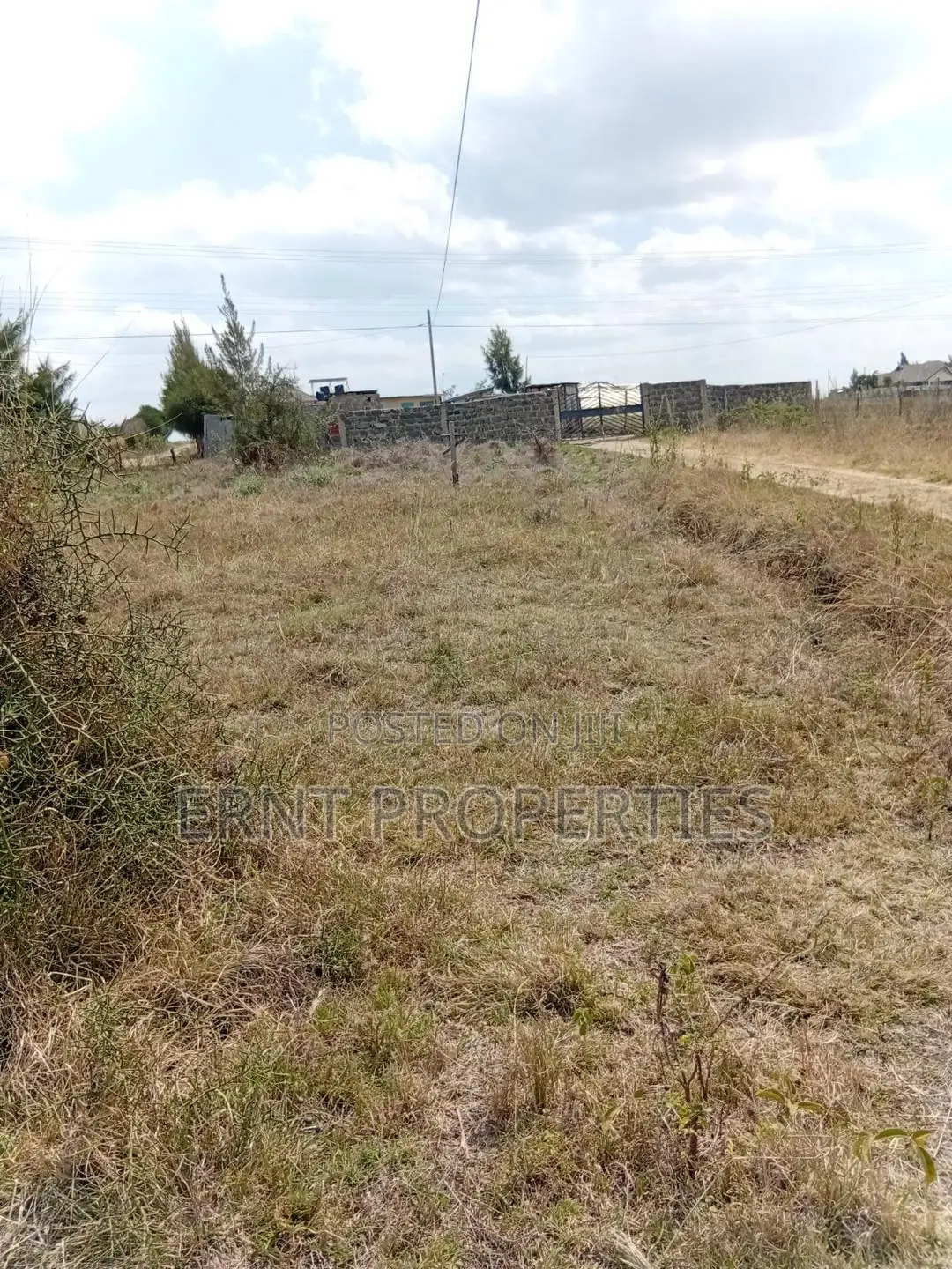 Prime 50x100 Plot in Kitengela Sholinke Valley