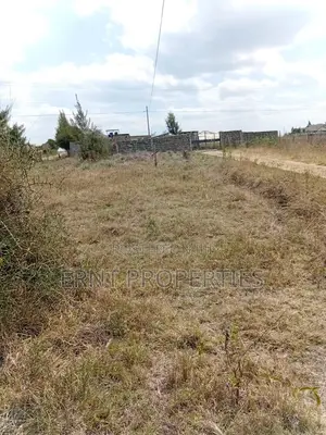 Prime 50x100 Plot in Kitengela Sholinke Valley