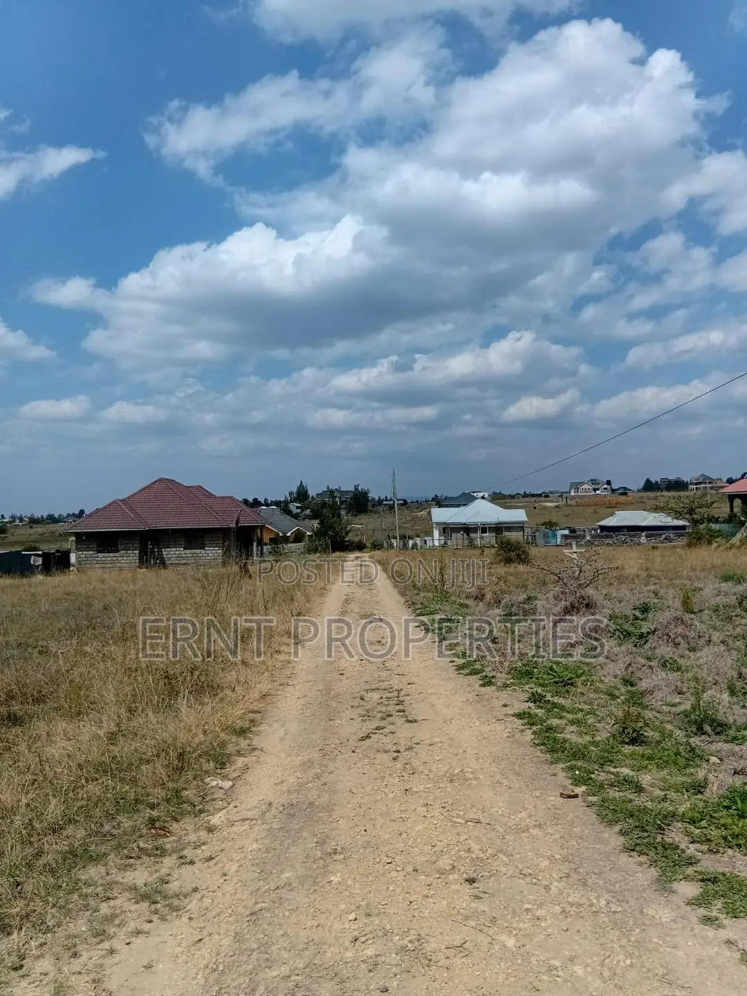 Prime 50x100 Plot in Kitengela Sholinke Valley