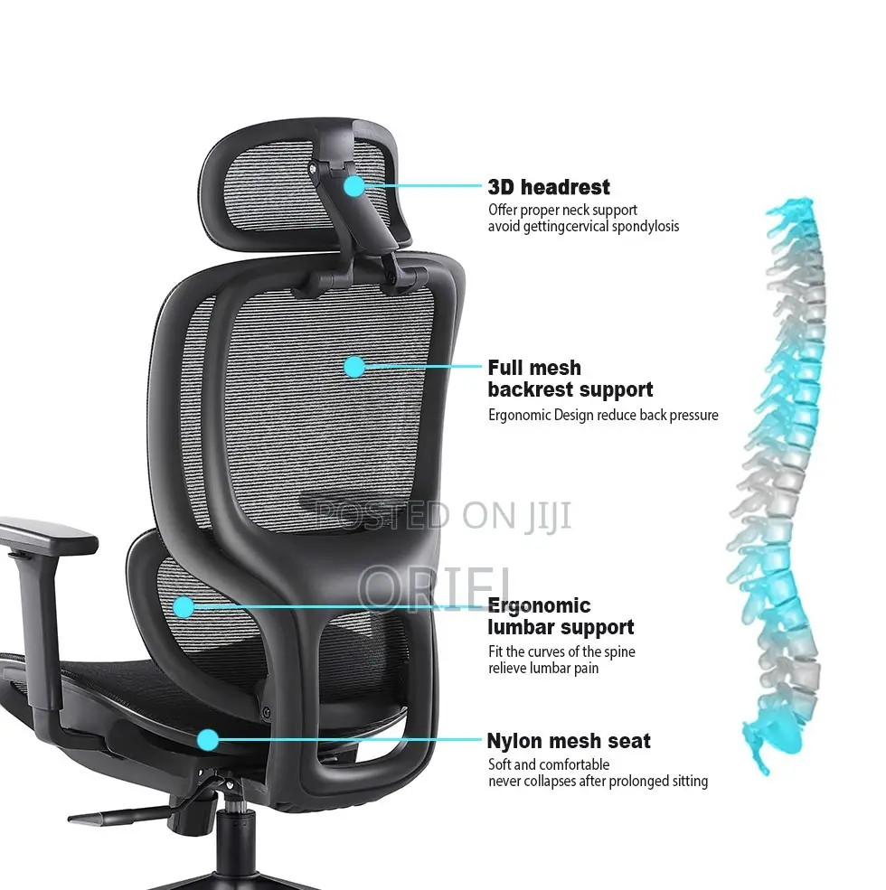 Office Chairs; Advanced Lumbar Support High-Back Office Chair