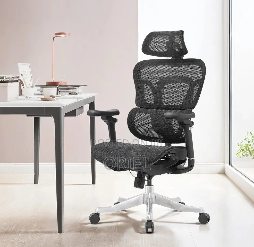Office Chairs; Advanced Lumbar Support High-Back Office Chair