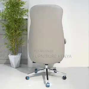 Luxury Contemporary Office Director's Chair