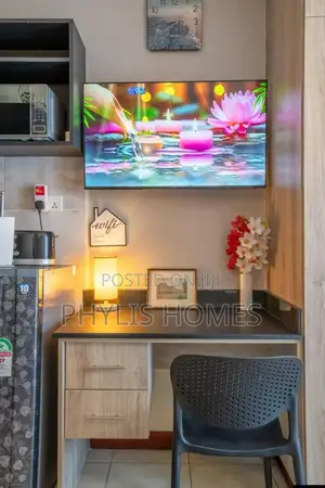 Super BNB Homes in South B