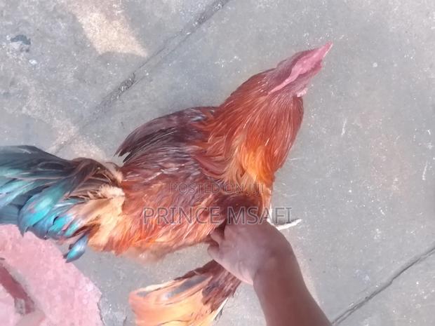 If You Are Interested Call Mee - main view