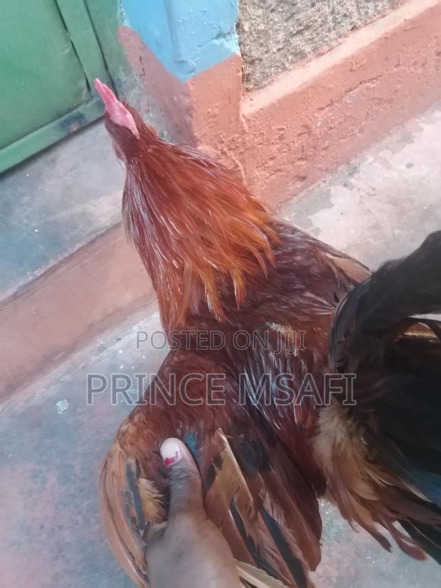 If You Are Interested Call Mee - thumbnail 2