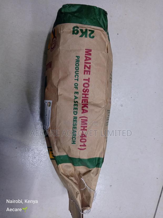 Maize Seeds Tosheka Mh-401 2kg, 1kg - thumbnail 4