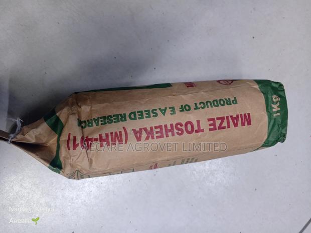 Maize Seeds Tosheka Mh-401 2kg, 1kg - thumbnail 6