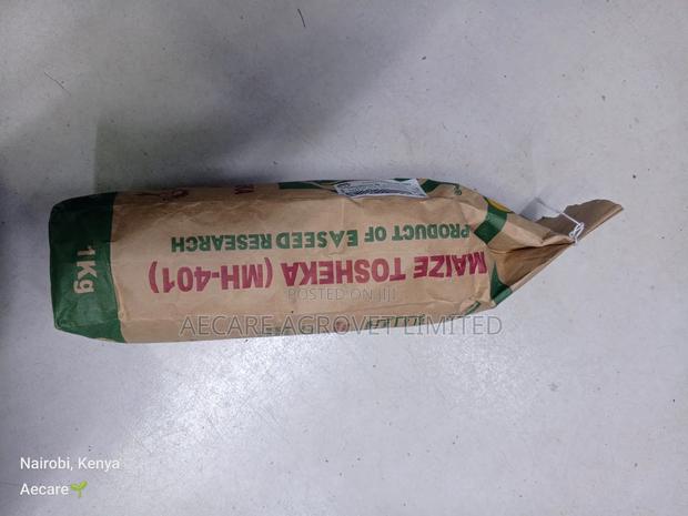 Maize Seeds Tosheka Mh-401 2kg, 1kg - thumbnail 8