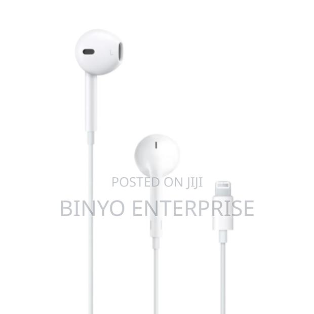 iPhone Original Earphones