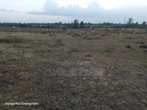 Prime Land in Nanyuki(Njogu-Ini) - thumbnail 2