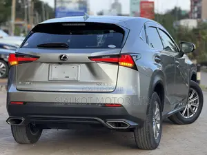 Lexus NX 300 AWD 2020 Silver