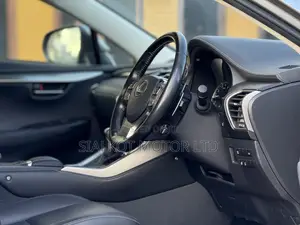 Lexus NX 300 AWD 2020 Silver