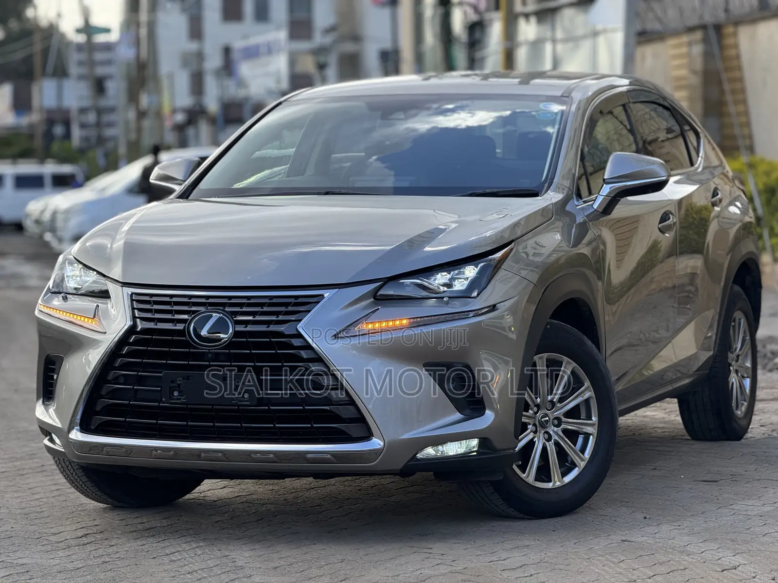 Lexus NX 300 AWD 2020 Silver