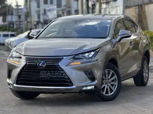 Lexus NX 300 AWD 2020 Silver
