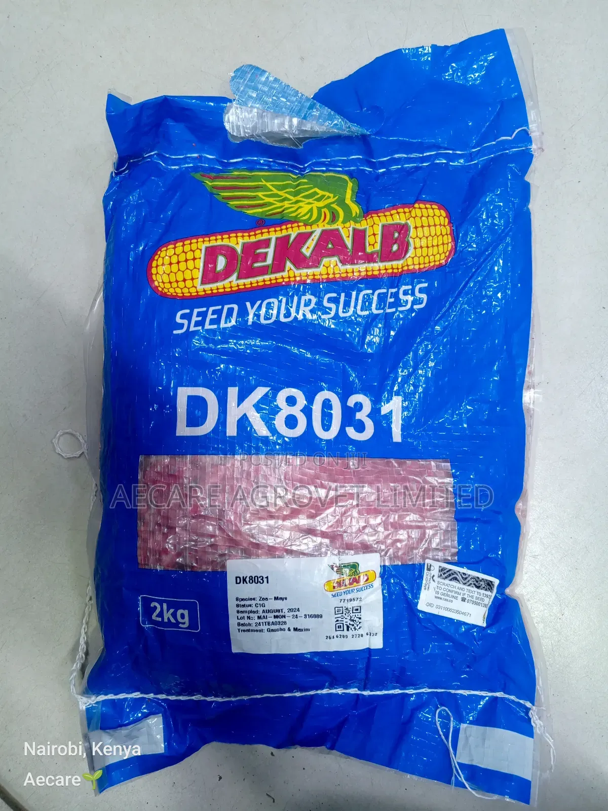 Maize Seeds Dk8031 Hybrid Seeds 2kgs