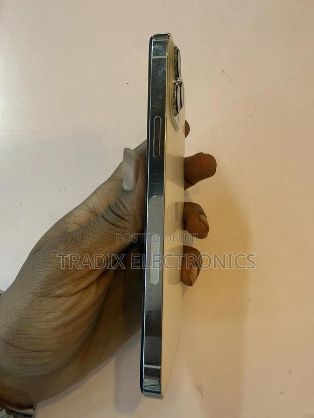 Apple iPhone 13 Pro Max 256 GB White - thumbnail 5