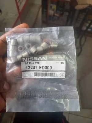 Valve Seals for Hr12 Engine(Nissan)