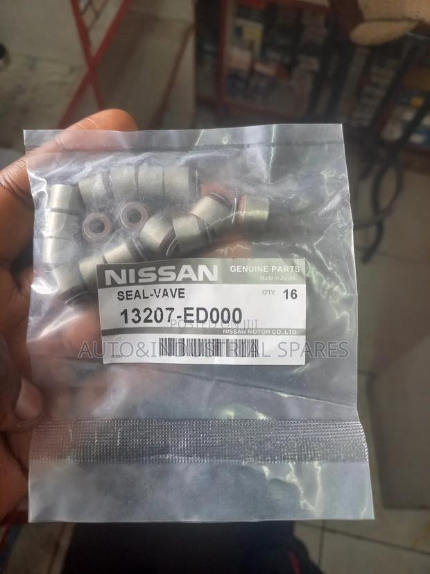 Valve Seals for Hr12 Engine(Nissan)