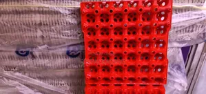 Kenpoly Plastic Trays