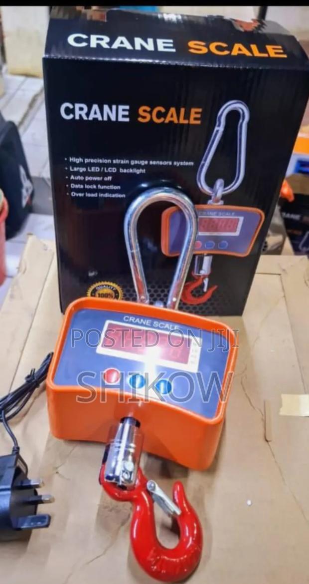 500kg Electric Crane Hoist