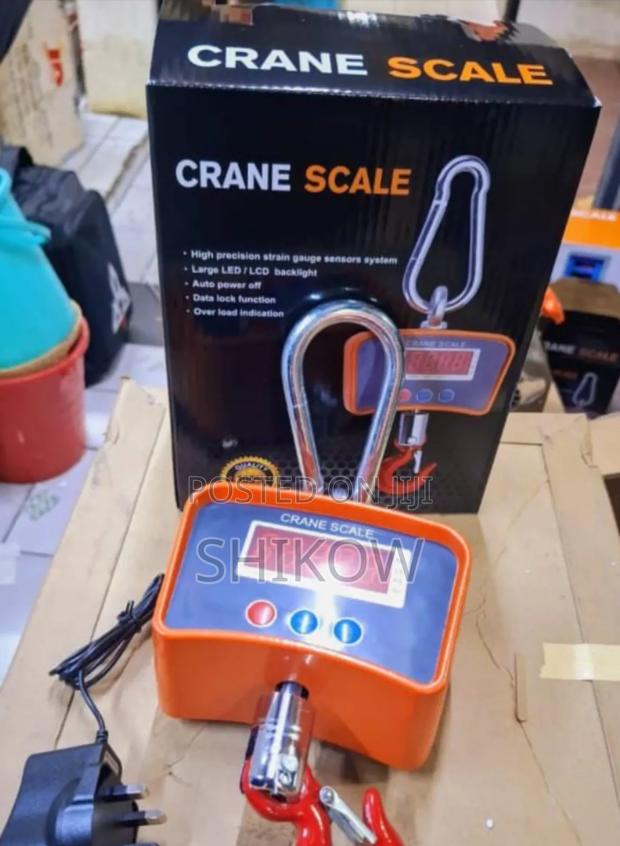 500kg Mini Crane Hoist