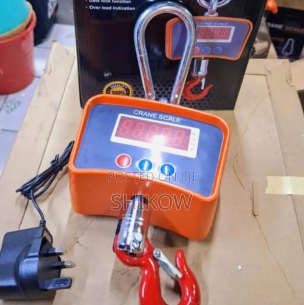 New 500kg Mini Crane Hoist