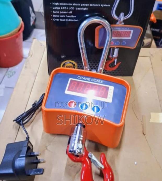 500kg Workshop Lifting Crane