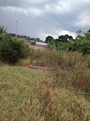 100/100 Plot for Lease in Kikuyu Road