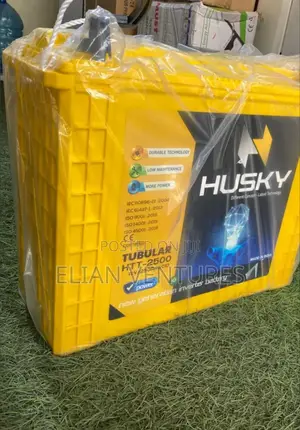 New Arrival Husky Battery