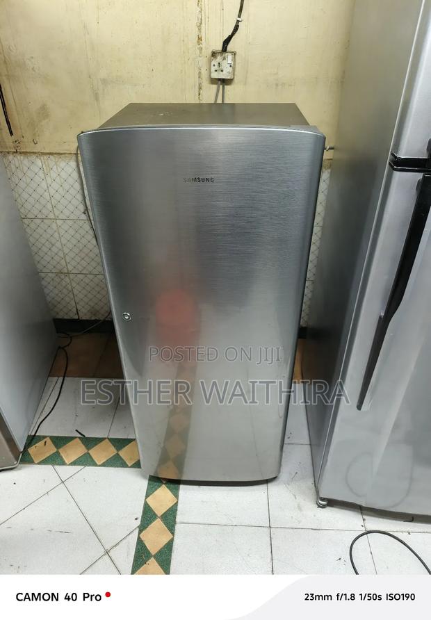 Sunny Silver Single Door Fridge